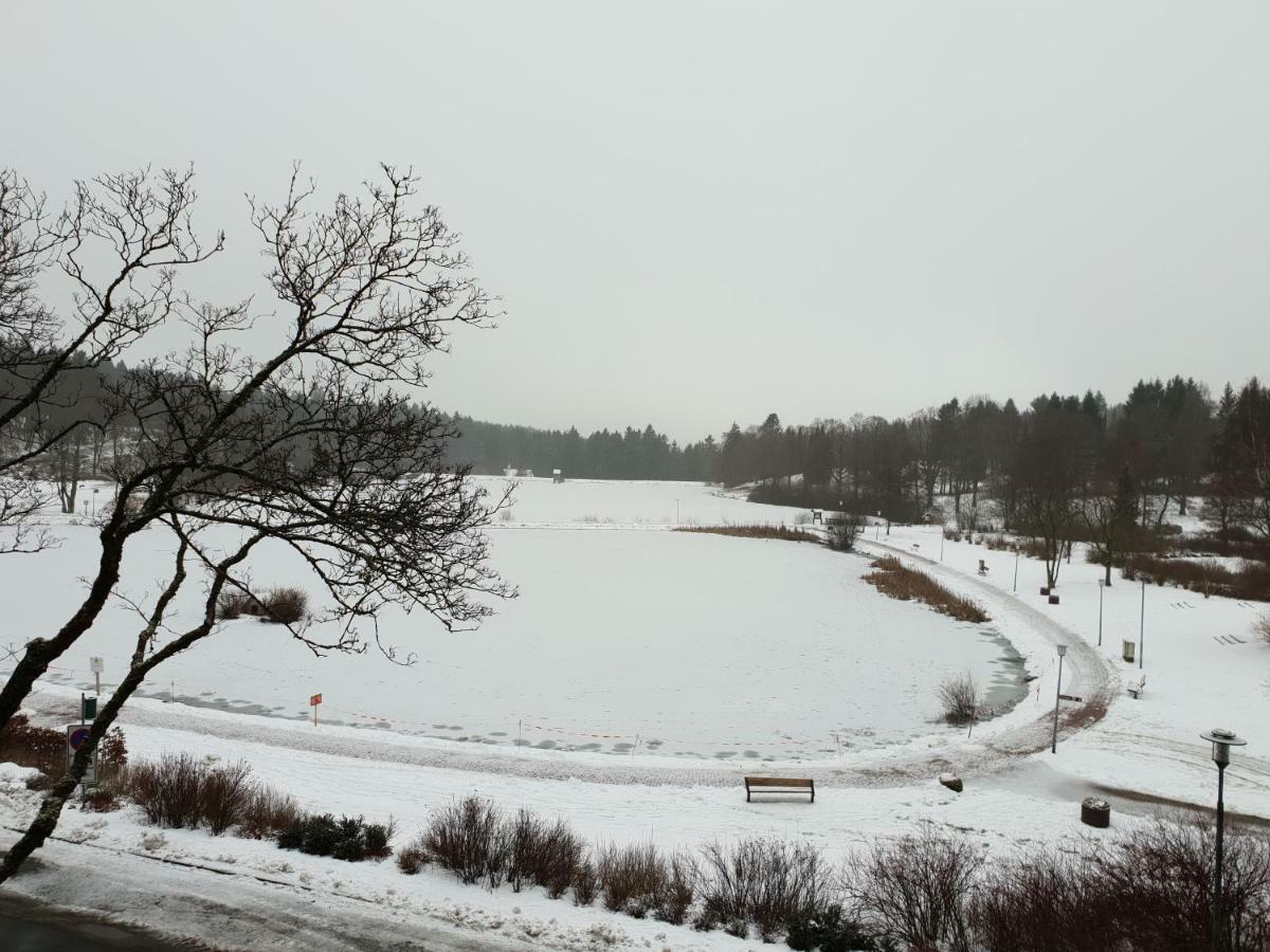 Apartment Mit Seeblick Vier Jahreszeiten Goslar Eksteriør billede